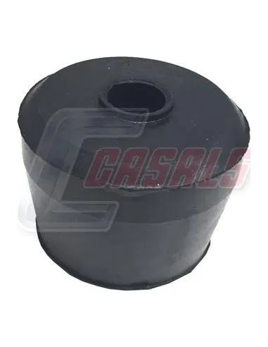 CASALS80731