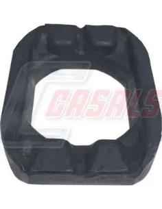 CASALS80748