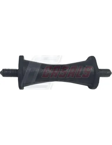CASALS80754