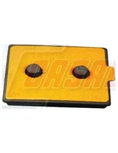 CASALS80774