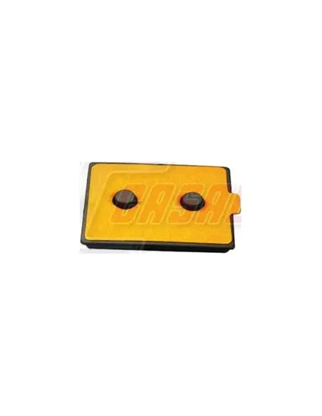 CASALS80774