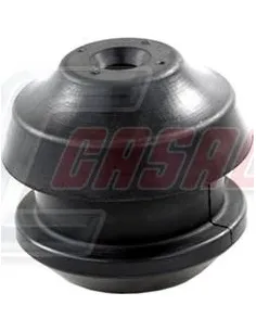 CASALS80775