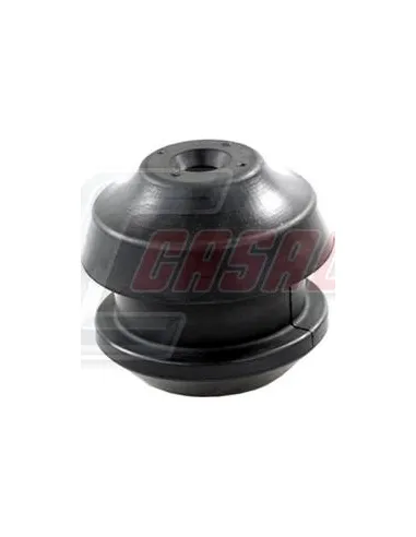CASALS80775