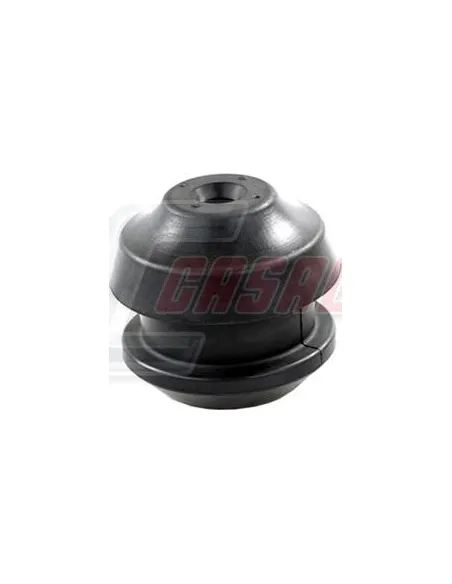 CASALS80775