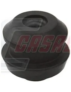 CASALS80776