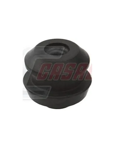 CASALS80776