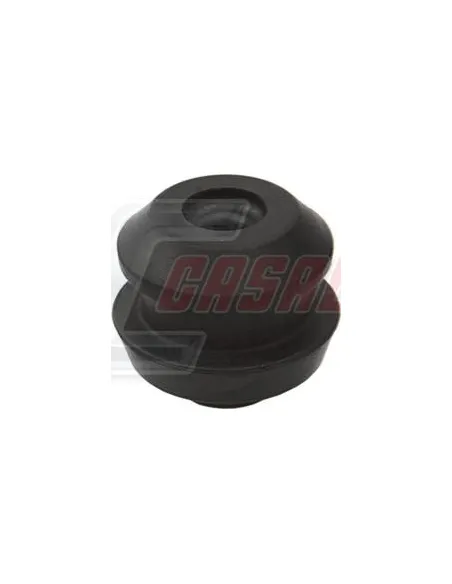 CASALS80776