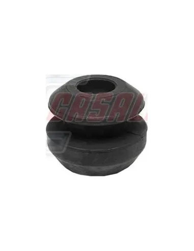 CASALS80778