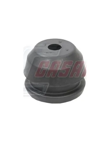 CASALS80779