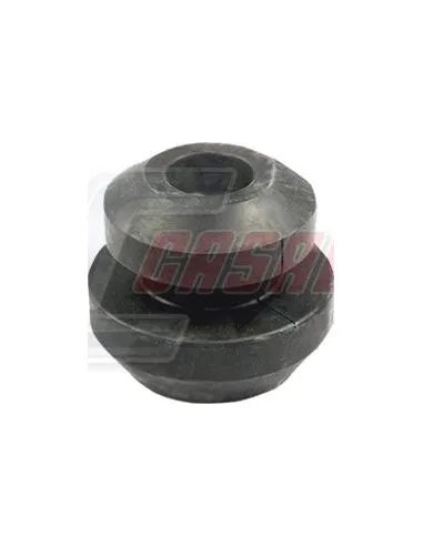 CASALS80780
