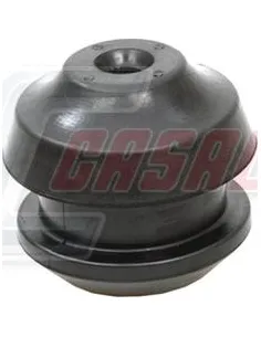 CASALS80781