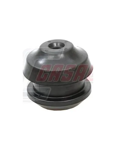 CASALS80781