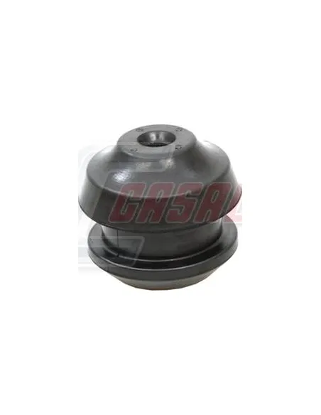 CASALS80781
