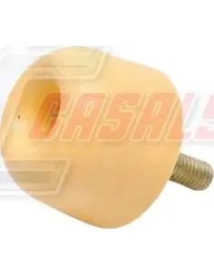 CASALS80784
