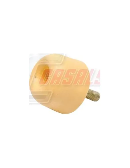 CASALS80784