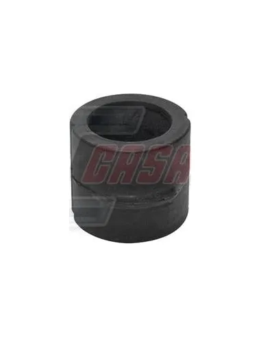 CASALS80796