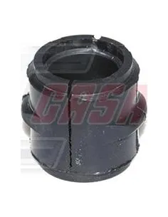 CASALS80810