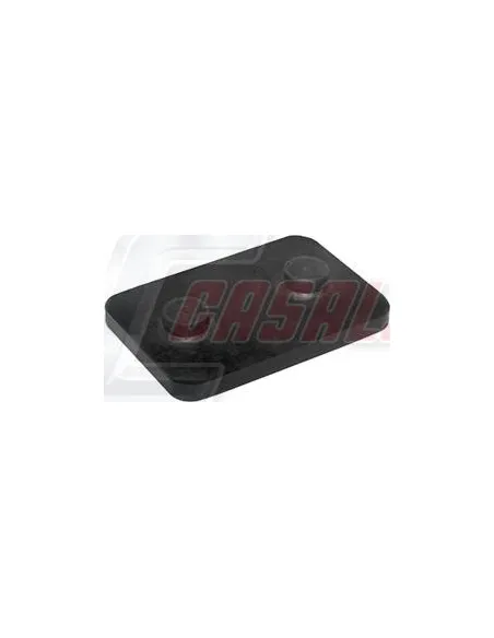 CASALS80818