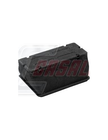 CASALS80828