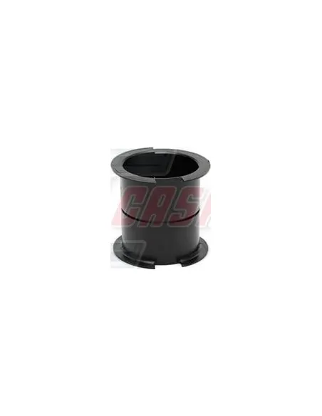 CASALS80833