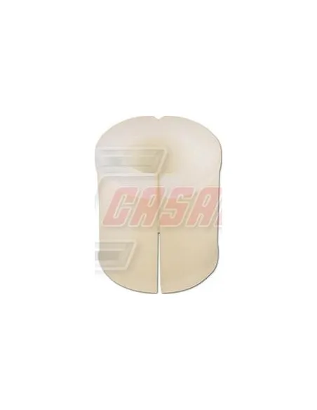 CASALS80842