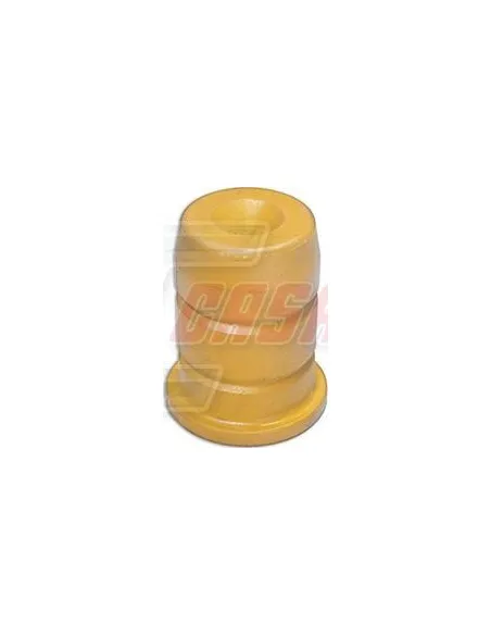 CASALS80856