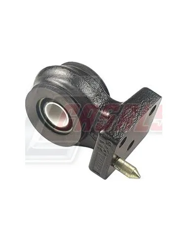 CASALS80872