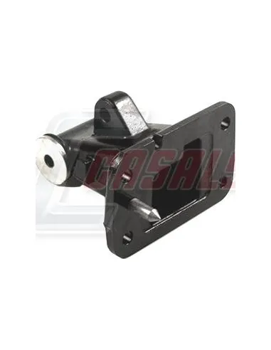 CASALS80875