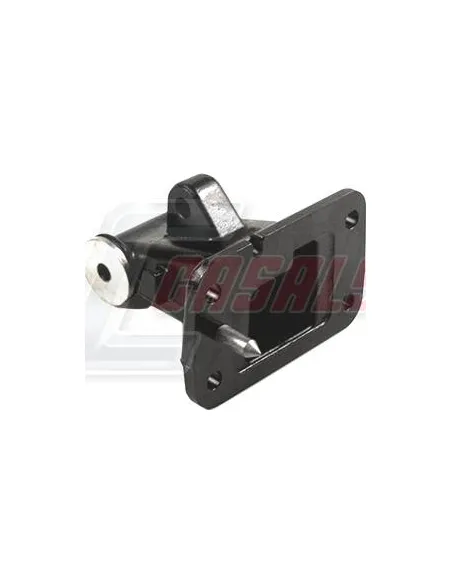 CASALS80875