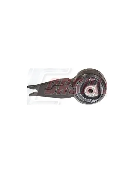 CASALS80876