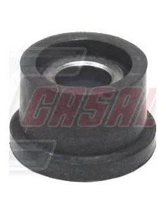 CASALS80877