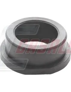 CASALS80880