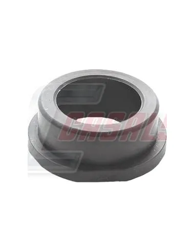 CASALS80880