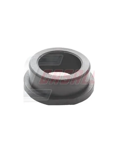 CASALS80880