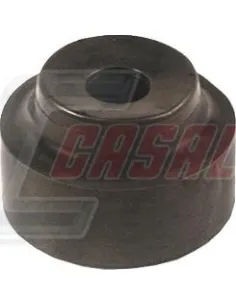 CASALS80882