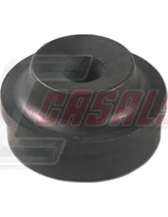 CASALS80884
