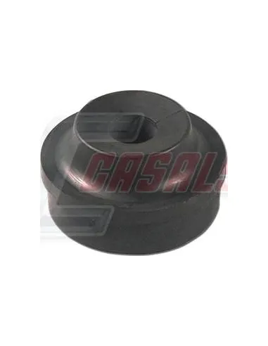 CASALS80884