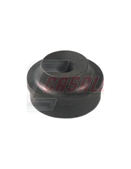 CASALS80884