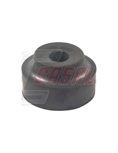 CASALS80885