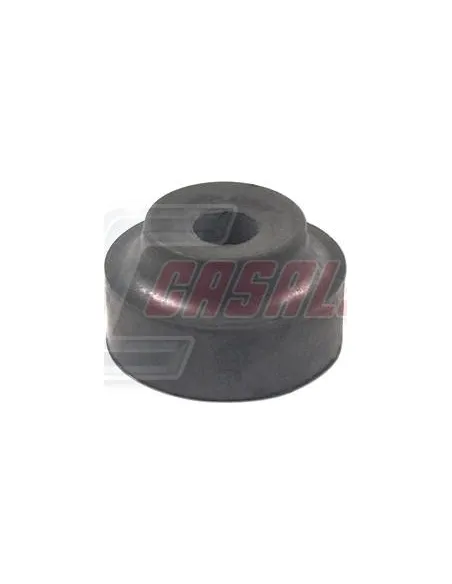 CASALS80885