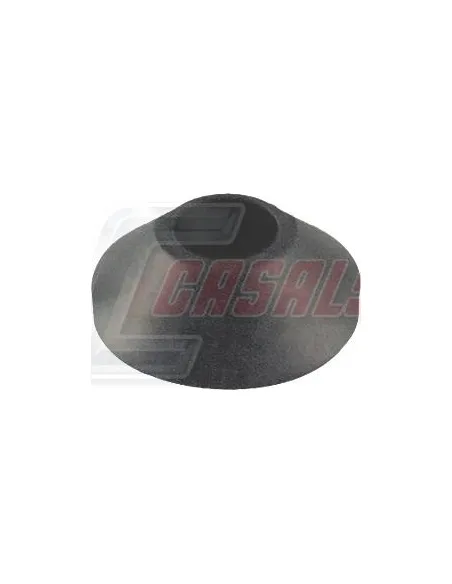 CASALS80886