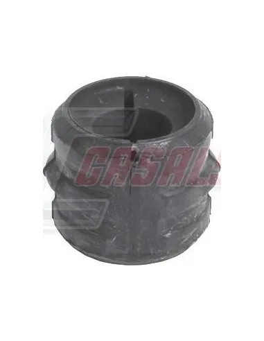 CASALS80893