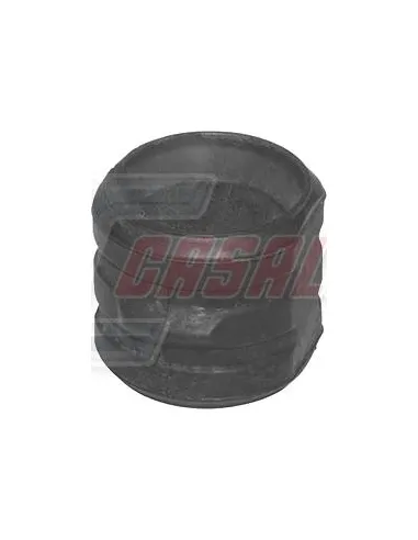 CASALS80895