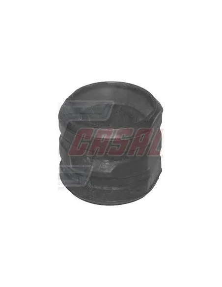 CASALS80895
