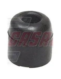 CASALS80901
