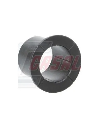 CASALS80905