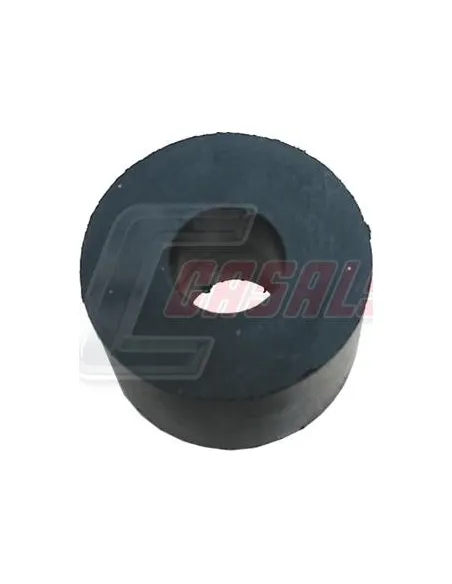 CASALS80930