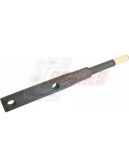 CASALS80936