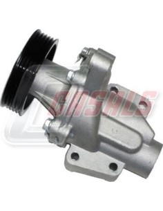 Bomba de agua Piaggio Porter Casals 80991