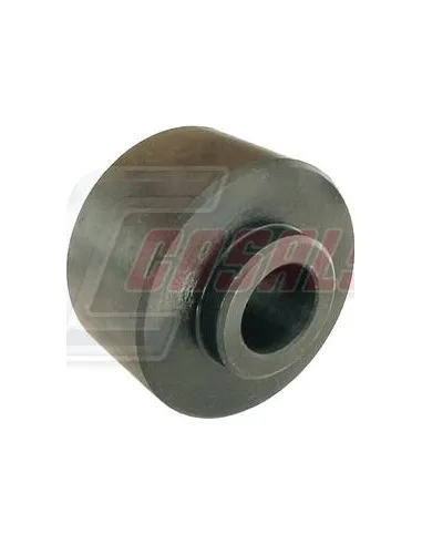 CASALS8303
